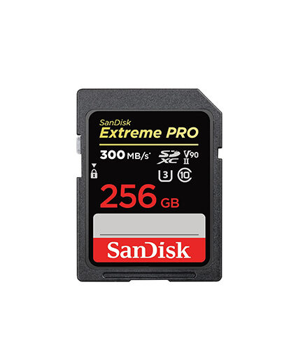 SanDisk SDXC Extreme PRO 256GB  Memory Card